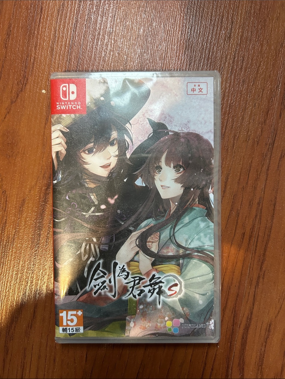 Nintendo Switch Visual Novel Game - Green & Black Cover Art-language chinese